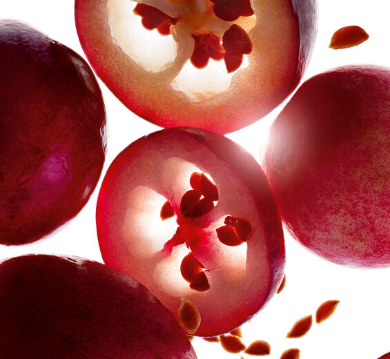 Arando-Óleo de arando bio-Vaccinium macrocarpon (cranberry) seed oil