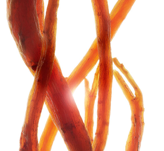 Ginseng-Extrato de ginseng vermelho bio-Panax ginseng root extract