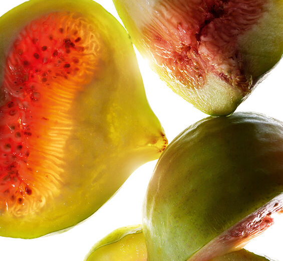 Figueira-Extrato de figo-Ficus carica (fig) fruit extract