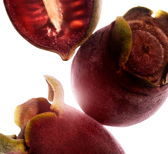 Rosa murta-Extrato de rosa murta-Rhodomyrtus tomentosa fruit extract
