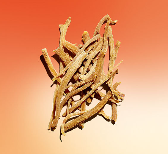 Ginseng-Extrato de ginseng-Panax ginseng root extract
