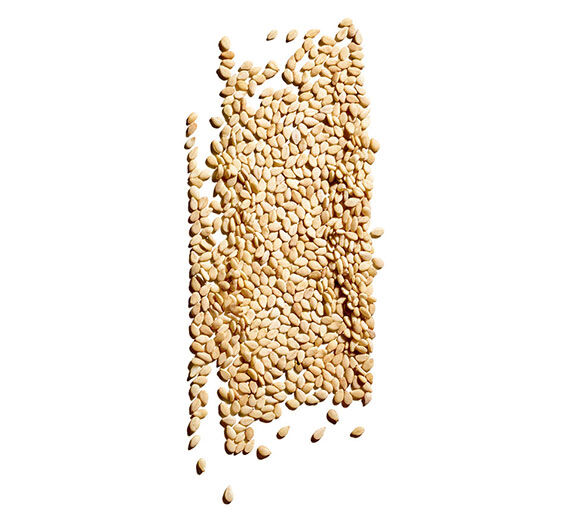 Sésamo-Óleo de sésamo bio-Sesamum indicum (sesame) seed oil