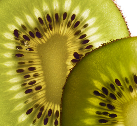 Kiwi-Extrato de kiwi bio-Actinidia chinensis (kiwi) fruit extract