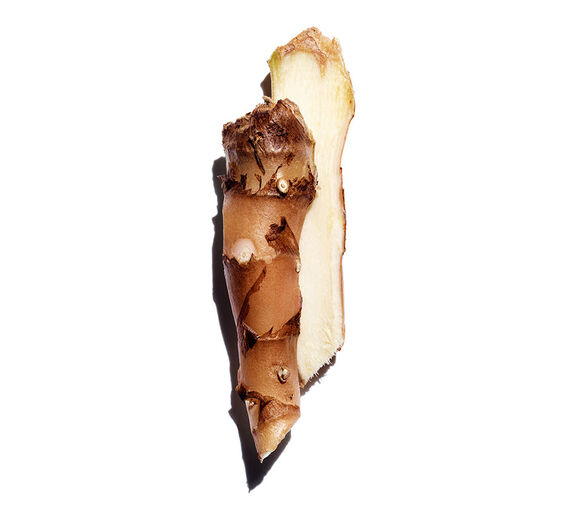 Lírio-do-brejo-Extrato de lírio-do-brejo (planta bio)-Hedychium coronarium root extract