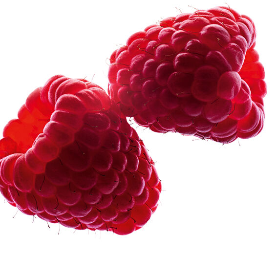 Framboeseiro-Água de framboesa bio-Rubus idaeus (raspberry) fruit water