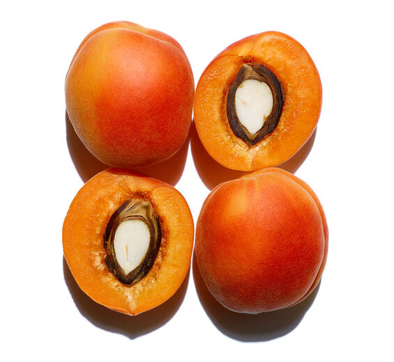 Alperce-Óleo de alperce bio-Prunus armeniaca (apricot) kernel oil