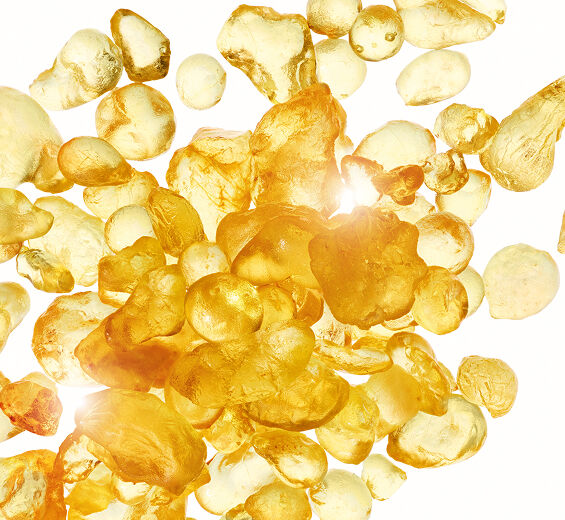 Lentisco-Extrato de lentisco-Pistacia lentiscus (mastic) gum