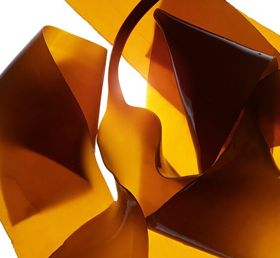 Lamin&aacute;ria-Extrato de lamin&aacute;ria-Laminaria digitata extract