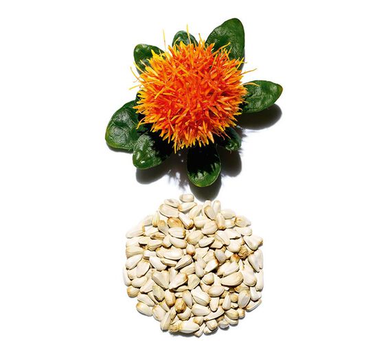 Cártamo-Extrato de cártamo-Carthamus tinctorius (safflower) seedcake extract