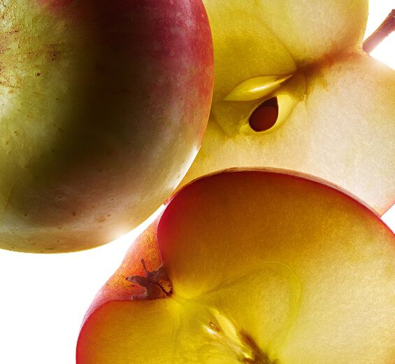 Macieira-Extrato de maçã bio-Malus Domestica Fruit Extract