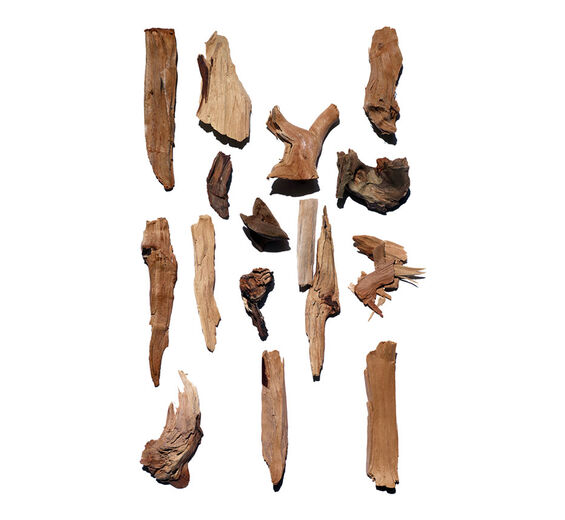 Sândalo-Óleo essencial de sândalo-Santalum album (sandalwood) oil