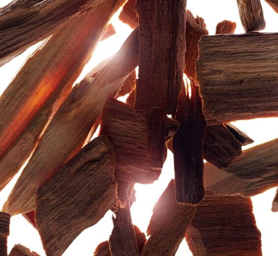 Sândalo-Óleo essencial de sândalo-Santalum album (sandalwood) oil