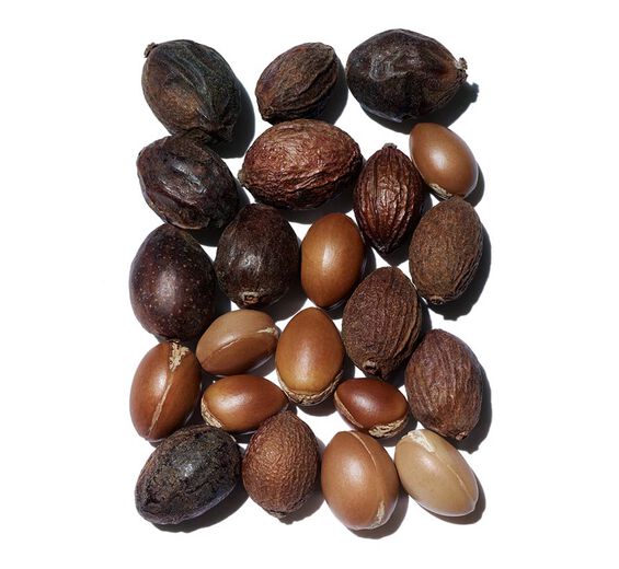 Árvore de argão-Óleo de argão bio-Argania spinosa kernel oil
