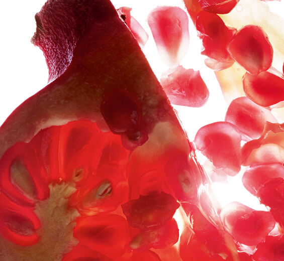 Romãzeira-Extrato de romã (planta bio)-Punica granatum bark extract
