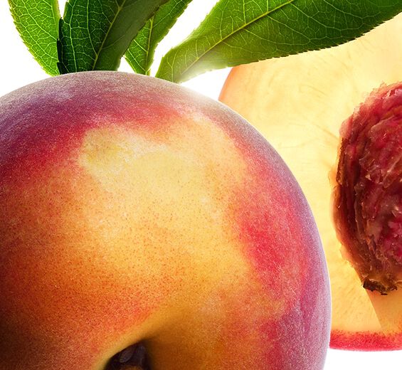 Pessegueiro-Leite de pessegueiro-Prunus persica (peach) leaf extract