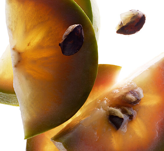 Caimito-Extrato de caimito-Chrysophyllum cainito fruit extract