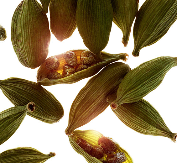 Cardamomo-Óleo essencial de cardamomo-Elettaria cardamomum seed oil