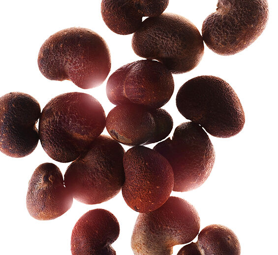Embondeiro-Extrato de embondeiro-Hydrolyzed adansonia digitata extract