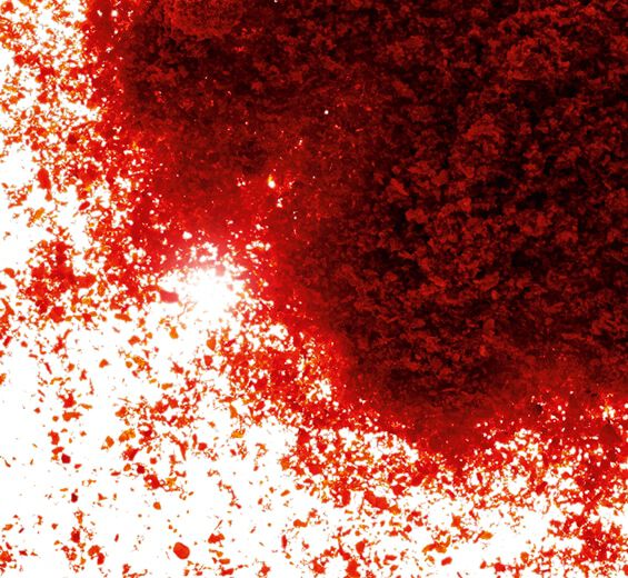 Paprica-Extrato de paprica-Capsicum annuum fruit extract Paprica-Extrato de paprica-Capsicum annuum fruit extract