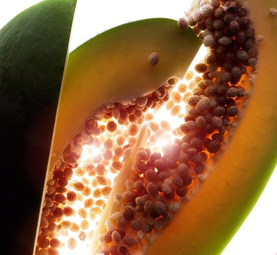 Papaya-Papa&iacute;na estabilizada-undefined