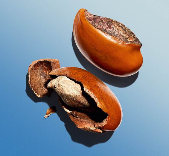 Karité-Manteiga de karité-Butyrospermum parkii (shea) butter