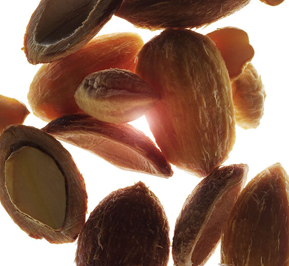 Tamareira do deserto-Extrato de tamareira do deserto bio-Balanites roxburghii seed oil