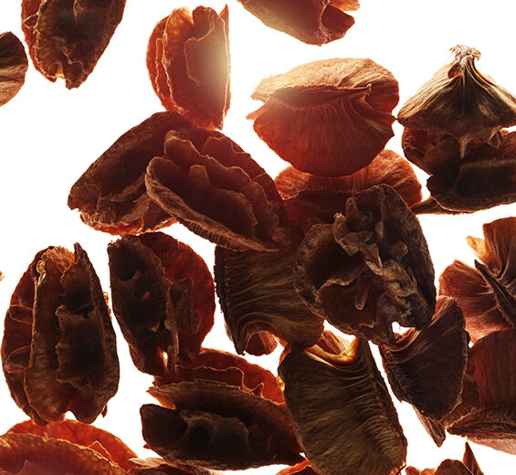 Acerola-Extrato de sementes de acerola-Malpighia emarginata (acerola) seed extract