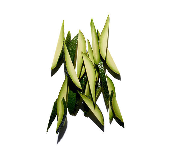 Abacateiro-Óleo de abacate bio-Persea gratissima (avocado) fruit extract