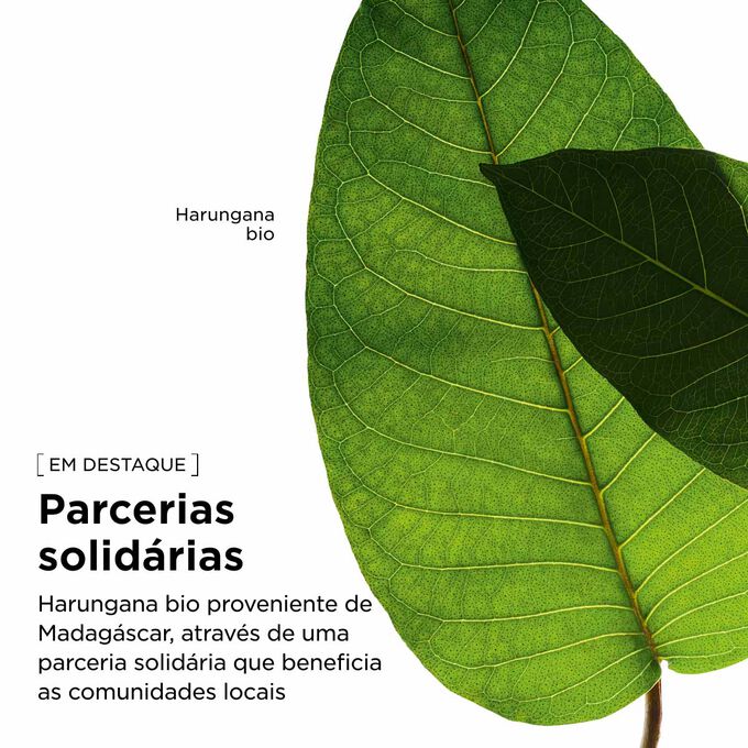 O extrato de harungana bio para o creme antirrugas e para o pesco&ccedil;o &eacute; obtido de forma respons&aacute;vel em Madag&aacute;scar, com remunera&ccedil;&atilde;o justa.