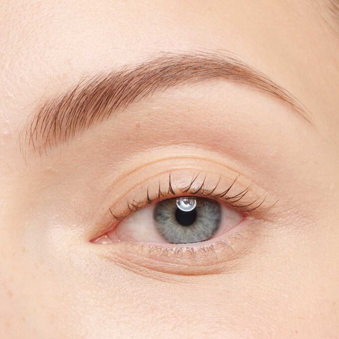 Brow Duo