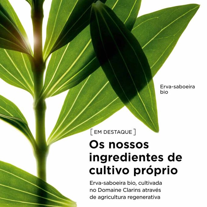 Extrato de astrantia bio, obtido de forma respons&aacute;vel para os nossos produtos t&oacute;nicos de cuidado corporal, com vista a apoiar pr&aacute;ticas de beleza sustent&aacute;veis.