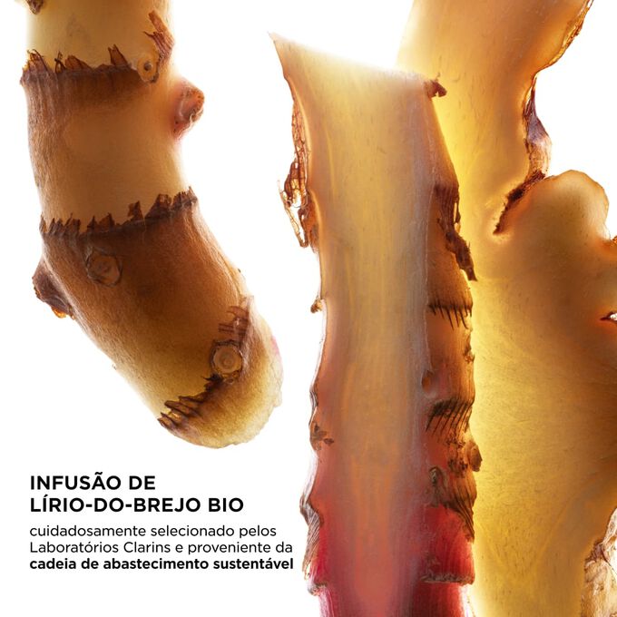 Foco nas fatias de gengibre, destacando os principais ingredientes do UV Protect, cuidadosamente selecionados pelos Laborat&oacute;rios Clarins e obtidos de forma sustent&aacute;vel.