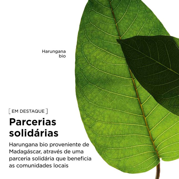 A Clarins recorre ao abastecimento respons&aacute;vel do extrato de harungana bio para a lo&ccedil;&atilde;o facial energizante, com o objetivo de apoiar as comunidades locais.