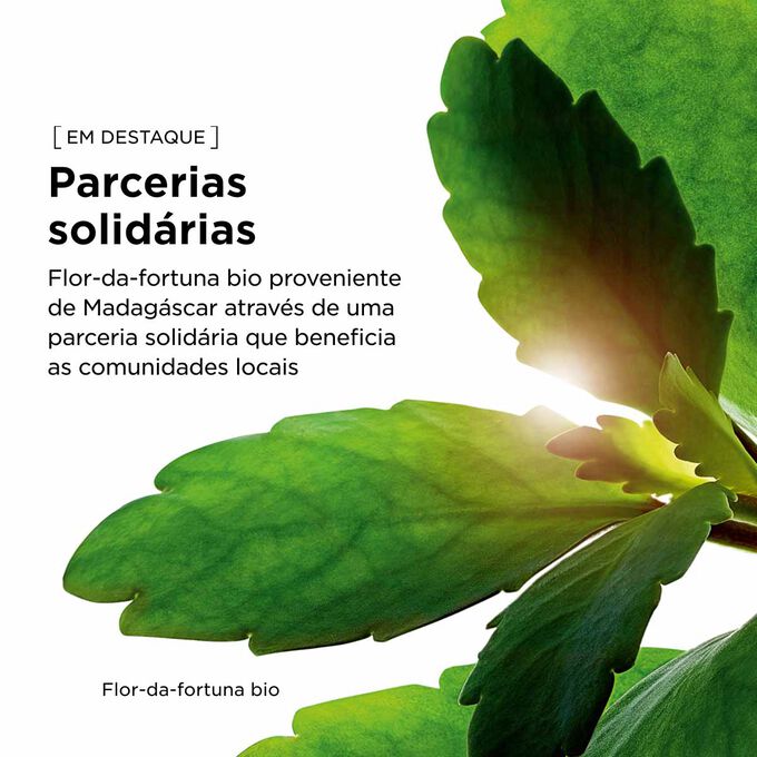 Folhas verdes de plantas que ilustram a parceria solid&aacute;ria e os ingredientes naturais subjacentes a esta base semelhante a s&eacute;rum.