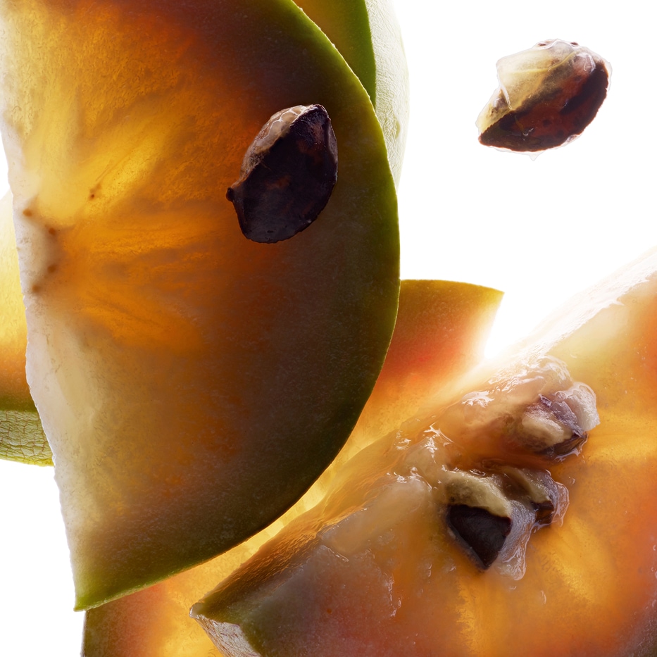 Caimito-Extrato de caimito-Chrysophyllum cainito fruit extract