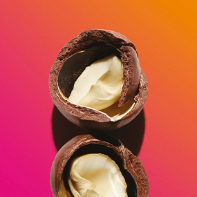 Macadâmia