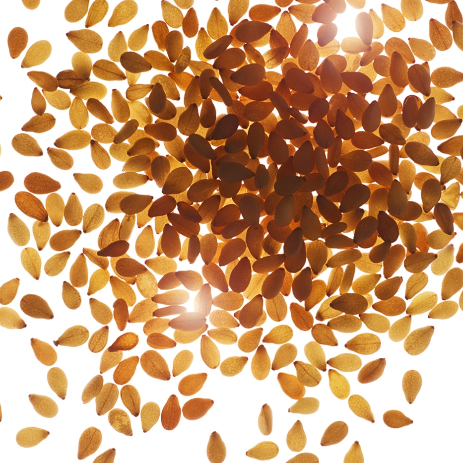 S&eacute;samo-&Oacute;leo de s&eacute;samo bio-Sesamum indicum (sesame) seed oil