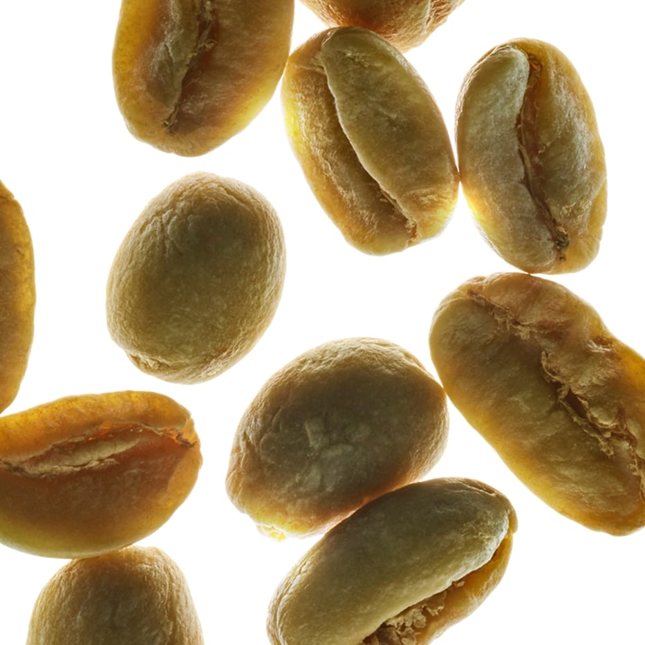 Café-arábica-Planta do café-Caffeine