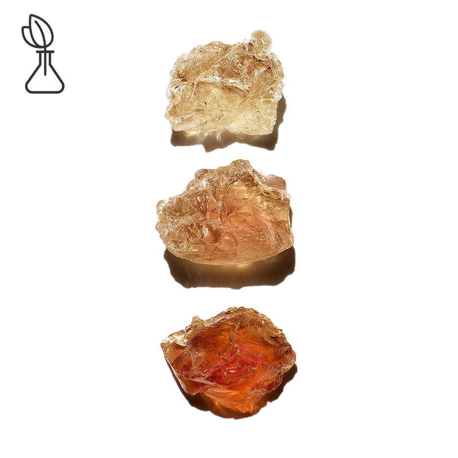 Ac&aacute;cia do Senegal-Micropatch vegetal-Acacia Senegal gum