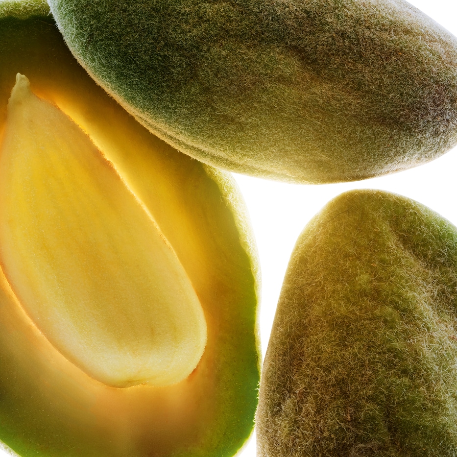 Amendoeira-&Oacute;leo de am&ecirc;ndoa doce bio-Prunus amygdalus dulcis (sweet almond) oil