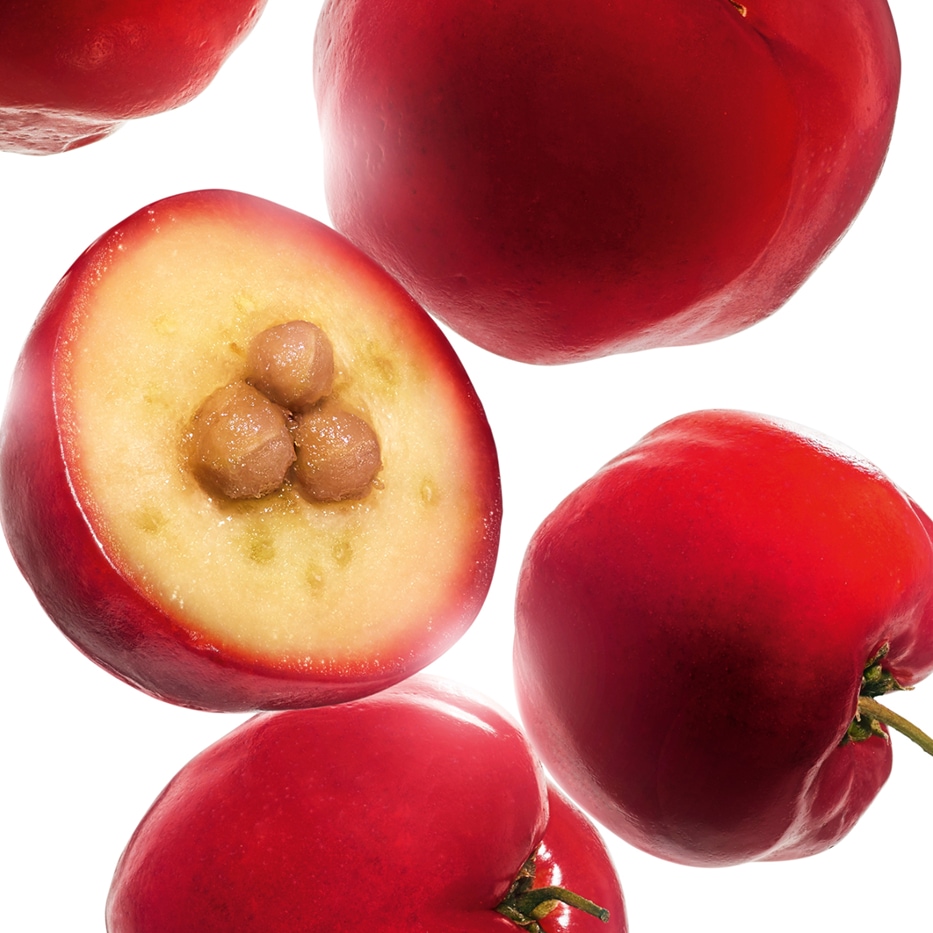 Acerola-Extrato de acerola-Malpighia emarginata (acerola) fruit extract