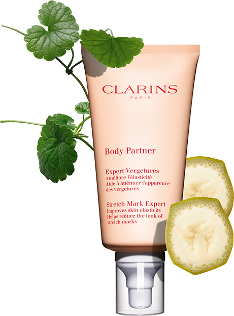 Produto Body Partner com as respetivas plantas