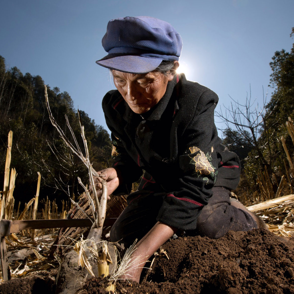 Os nossos compromissos para com a biodiversidade