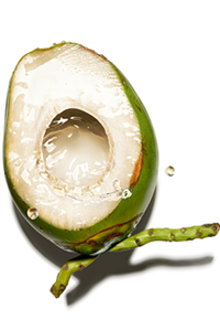 Água de coco bio 