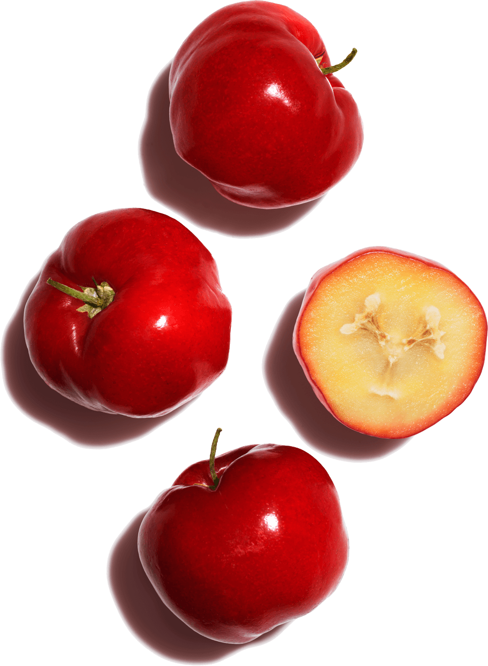 Sementes de acerola
