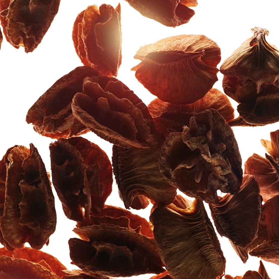 Acerola-Extrato de sementes de acerola-Malpighia emarginata (acerola) seed extract