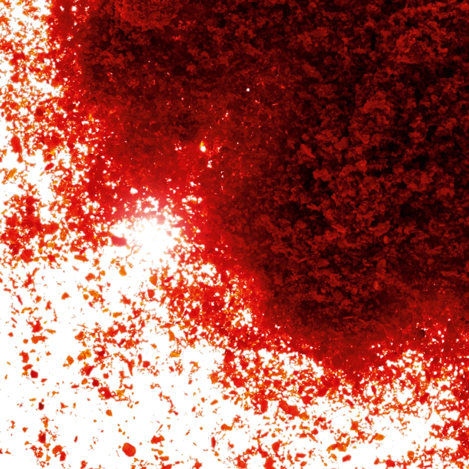 Paprica-Extrato de paprica-Capsicum annuum fruit extract