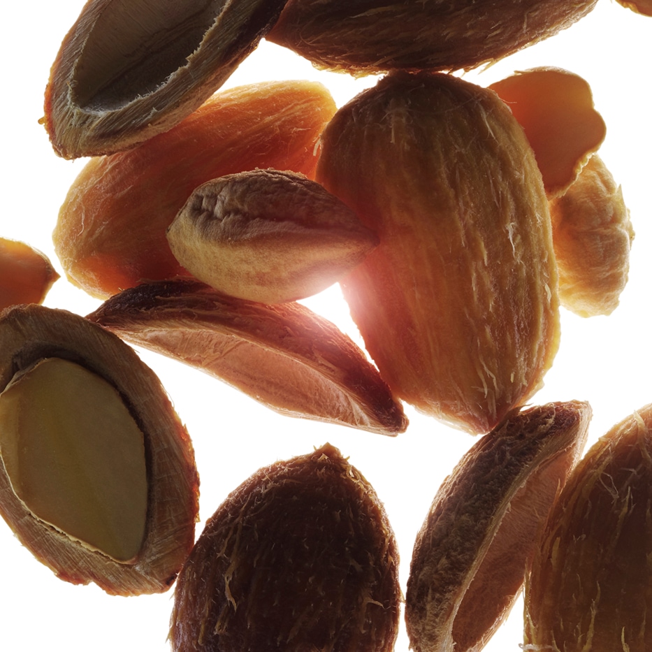 Tamareira do deserto-Extrato de tamareira do deserto bio-Balanites roxburghii seed oil