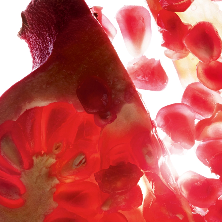 Romãzeira-Extrato de romã (planta bio)-Punica granatum bark extract