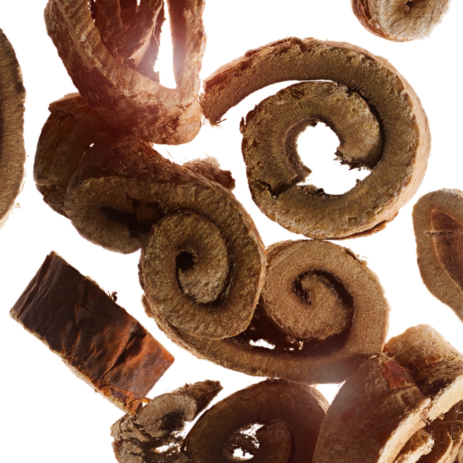 Amoreira branca-Extrato de amoreira branca bio-Morus alba root extract